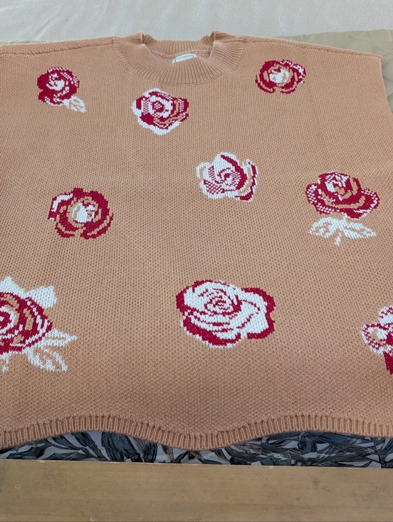 Anthropologie Sweaters - Anthropologie Sweater Vest